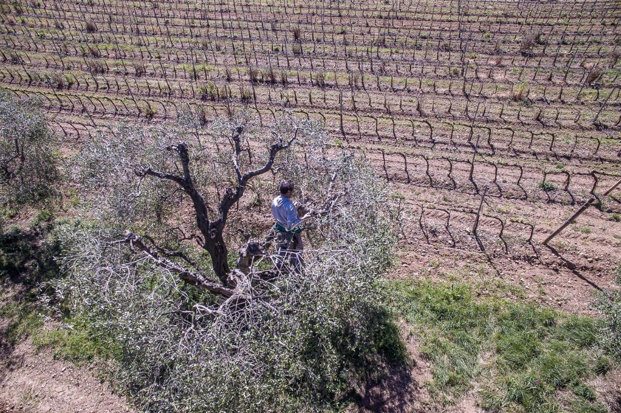 Agriturismo Ristorante Monte Argentario Dış mekan fotoğraf